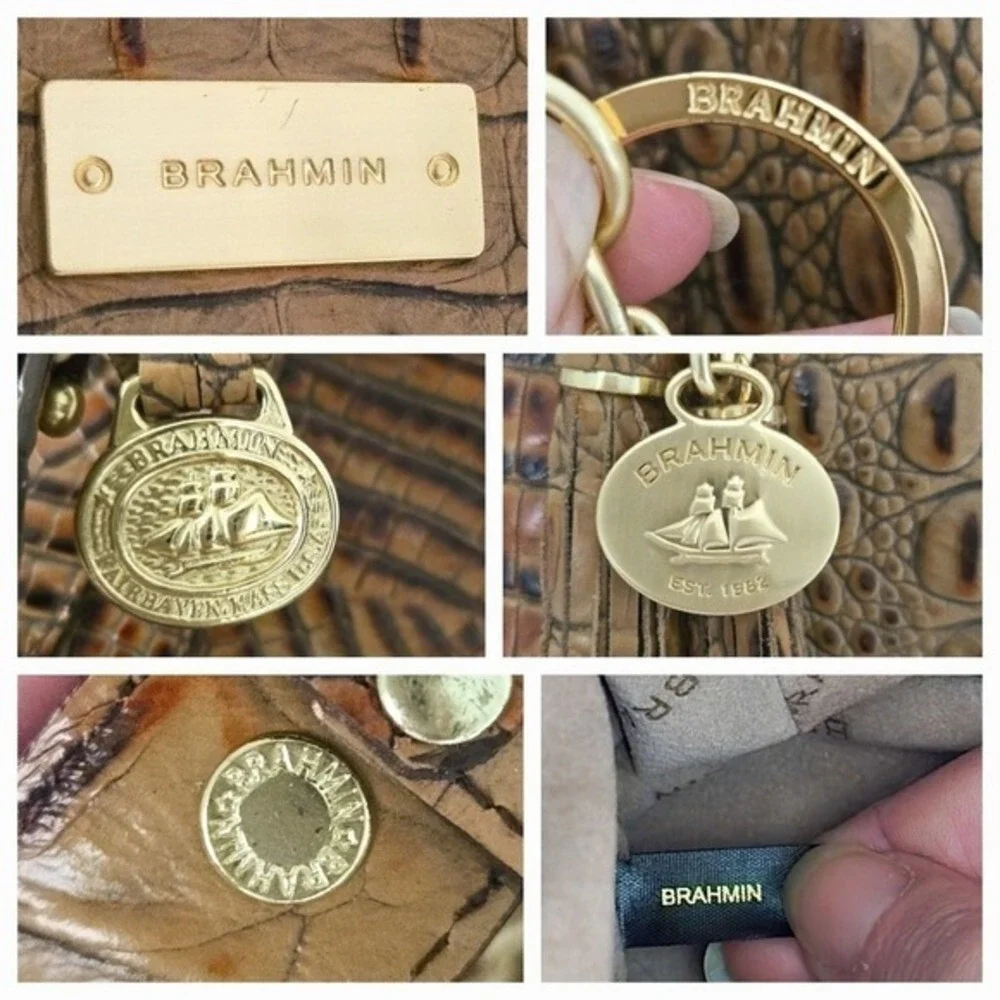 Brahmin dark brown